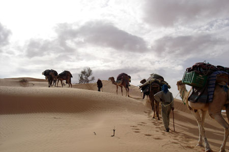 Caravane
