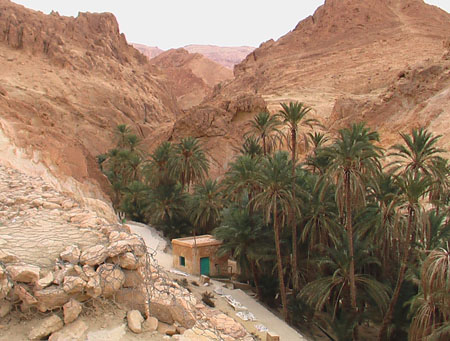 Oasis de montagne