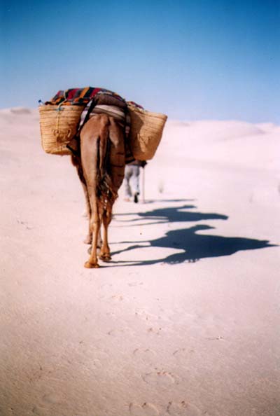 Caravane