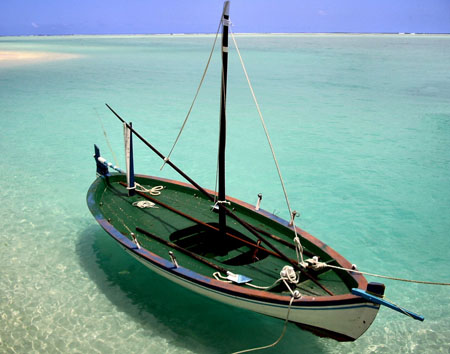 Dhoni 