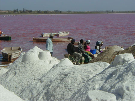 Le lac rose