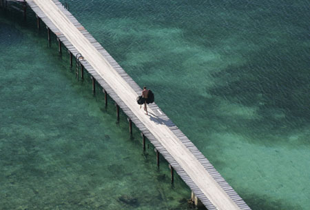 Ponton