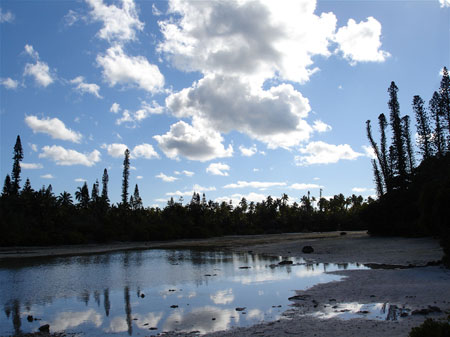 L'�le des Pins