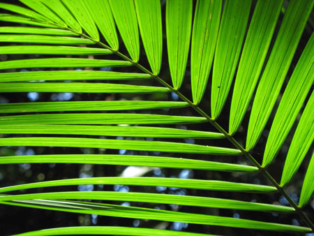 Brazil - Costa Verde
