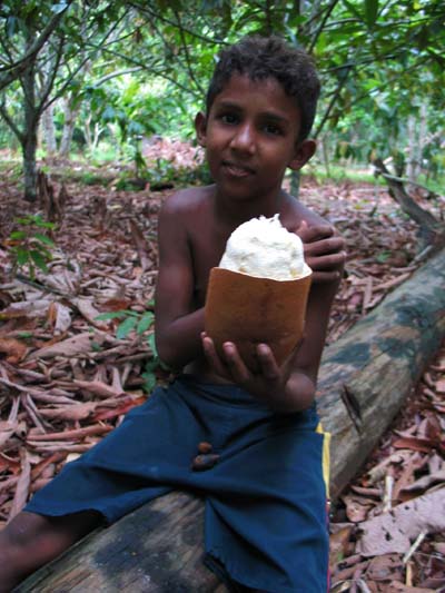 Le caboclo au cupua�u