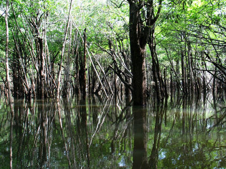 Les pieds dans l'eau