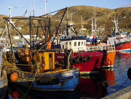 Bateaux de p�che multicolores 