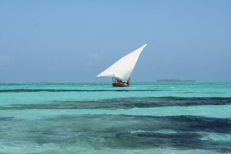Autour de Zanzibar...