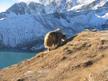 Gokyo Ri