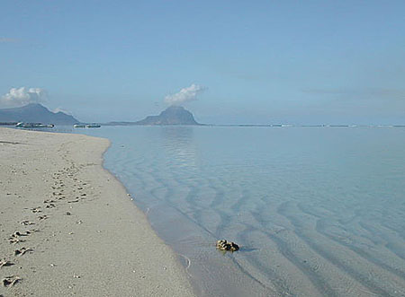 Au loin le Morne