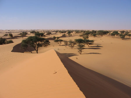 Oued Chinguetti