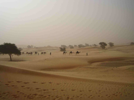 Temp�te dans le d�sert