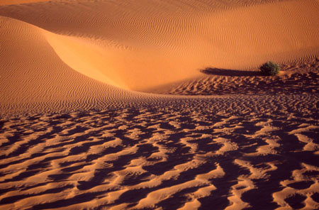 Au creux de la dune