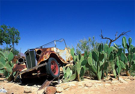 Cactus et voiture