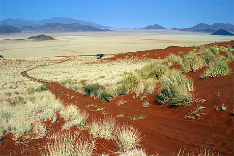 Plaine de Wolwedans