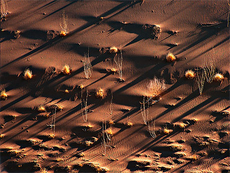 Ombres aux dunes de Sossusvlei
