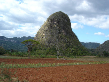 Mogotes