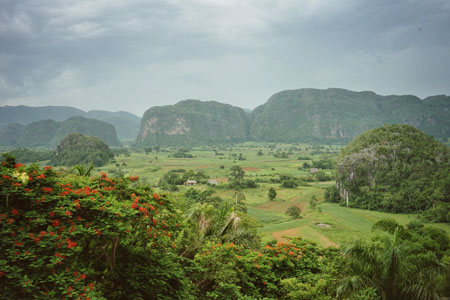 Valle de Vi�ales