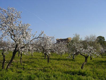 Encore un printemps