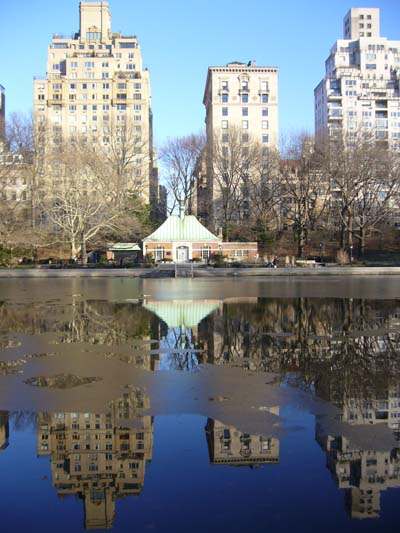 Central Park, bassin gel� et reflets