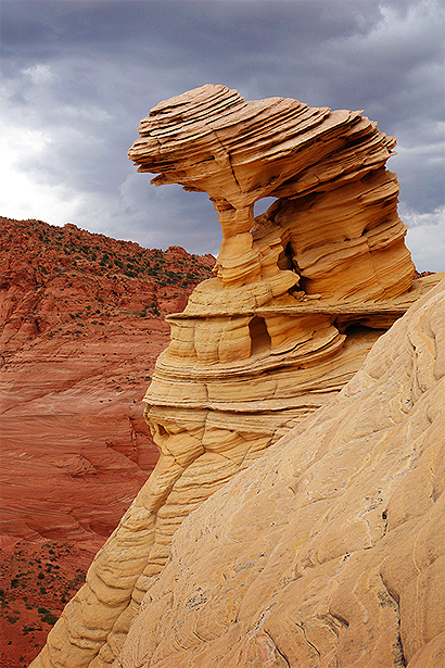 Gargouille naturelle