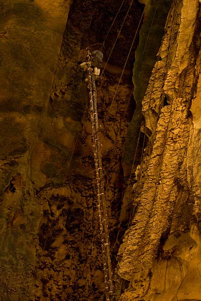 Gomantong Cave
