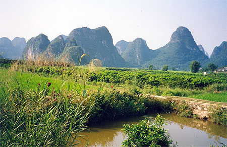 La campagne chinoise