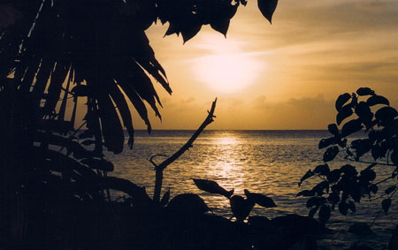 Sunset � coral bay