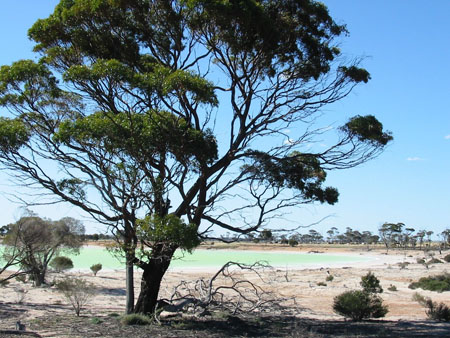 Un petit lac d'une couleur �tonnante