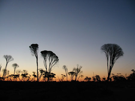 Coucher de soleil pr�s du Wave Rock.