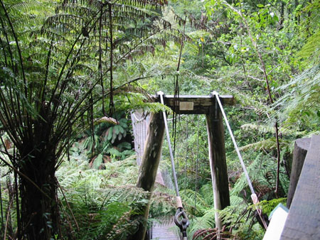 Pont suspendu � Tarra Bulga N.P.