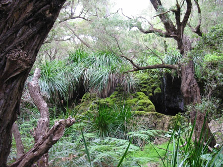 Leeuwin N.P.: Meekadarabee Falls