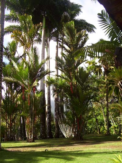 Fabuleux jardin