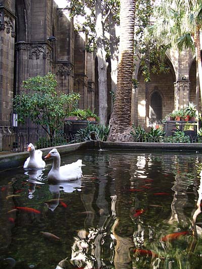 La Cath�drale de Barcelone