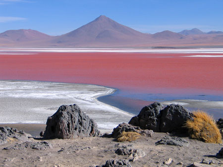 Laguna Colorada