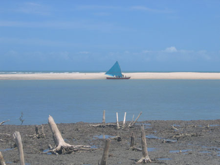 Paysage aride