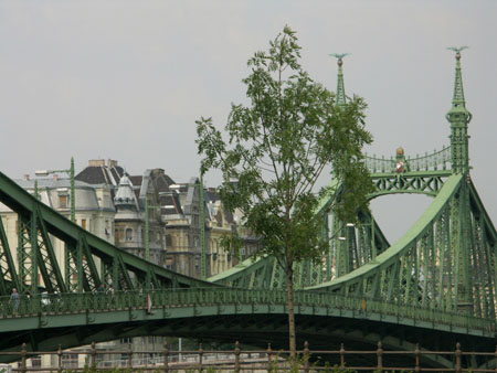 Pont de la libert�
