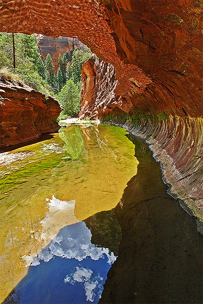 Reflexions � West Fork of Oak Creek Canyon