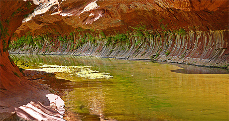 Le Tunnel de West Fork of Oak Creek Canyon