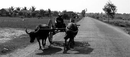 Paysan Khmer