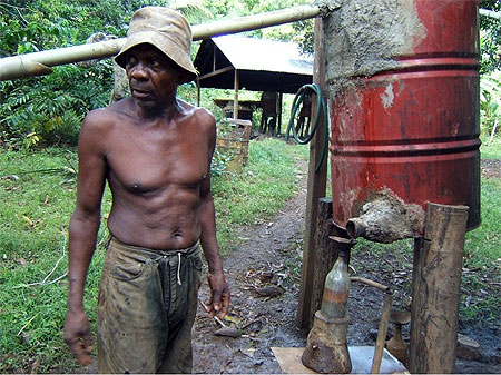producteur d'ylang