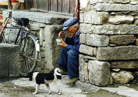 Vieil homme et son chien