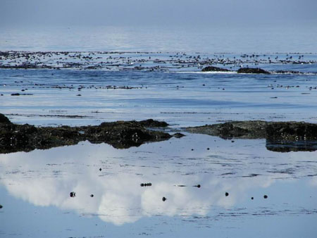 Reflets du Pacifique 