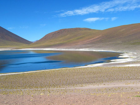 La laguna Miniques sur l'Altiplano