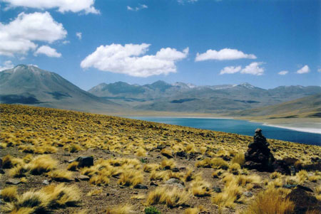Lagunes