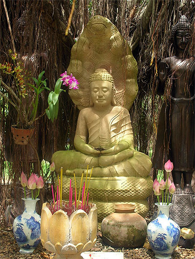 Buddha � Takmau