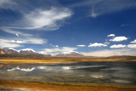 Volcans andins