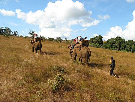 El�phant Trek