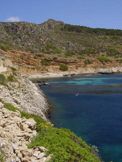 La c�te de Levanzo
