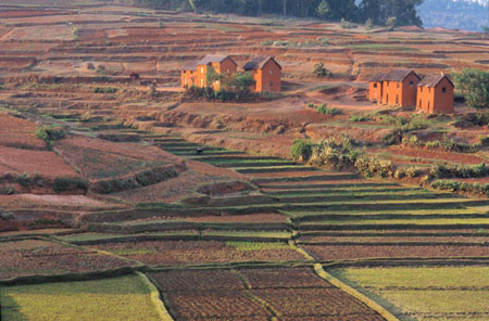 Maisons en briques
